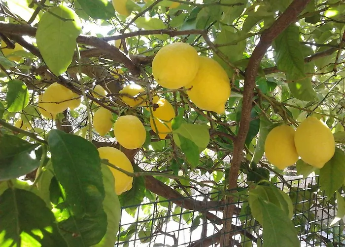 דירה Apartments Most