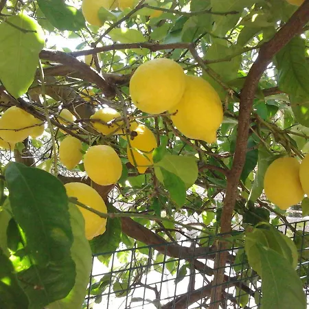 Appartement Apartments Most